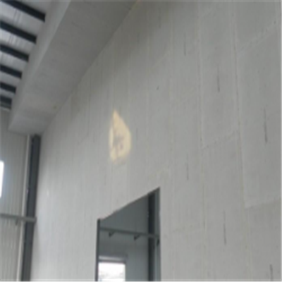 元阳宁波ALC板|EPS加气板隔墙与混凝土整浇联接的实验研讨